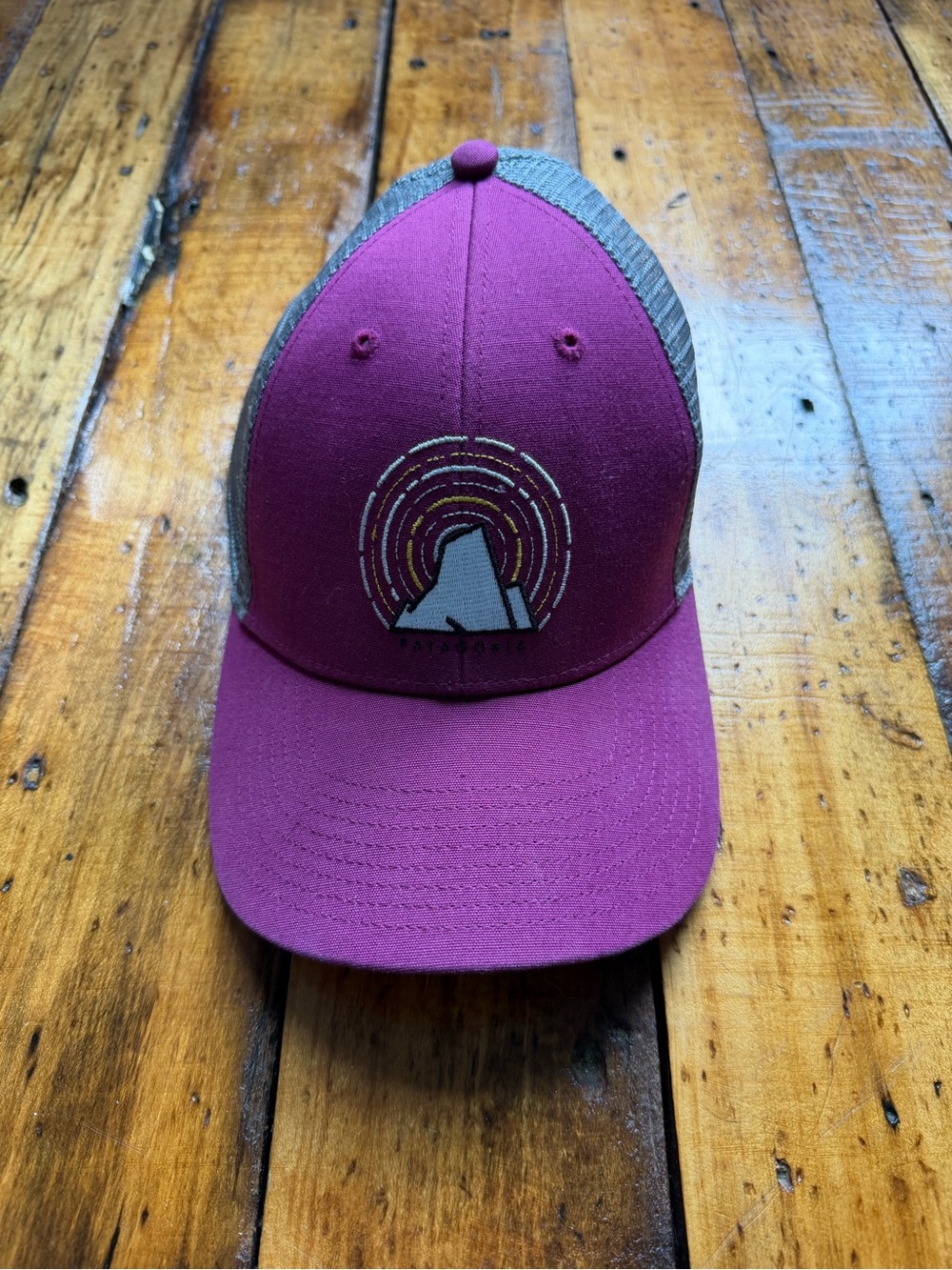 Patagonia Trucker Hat with embroidered Mountain Design